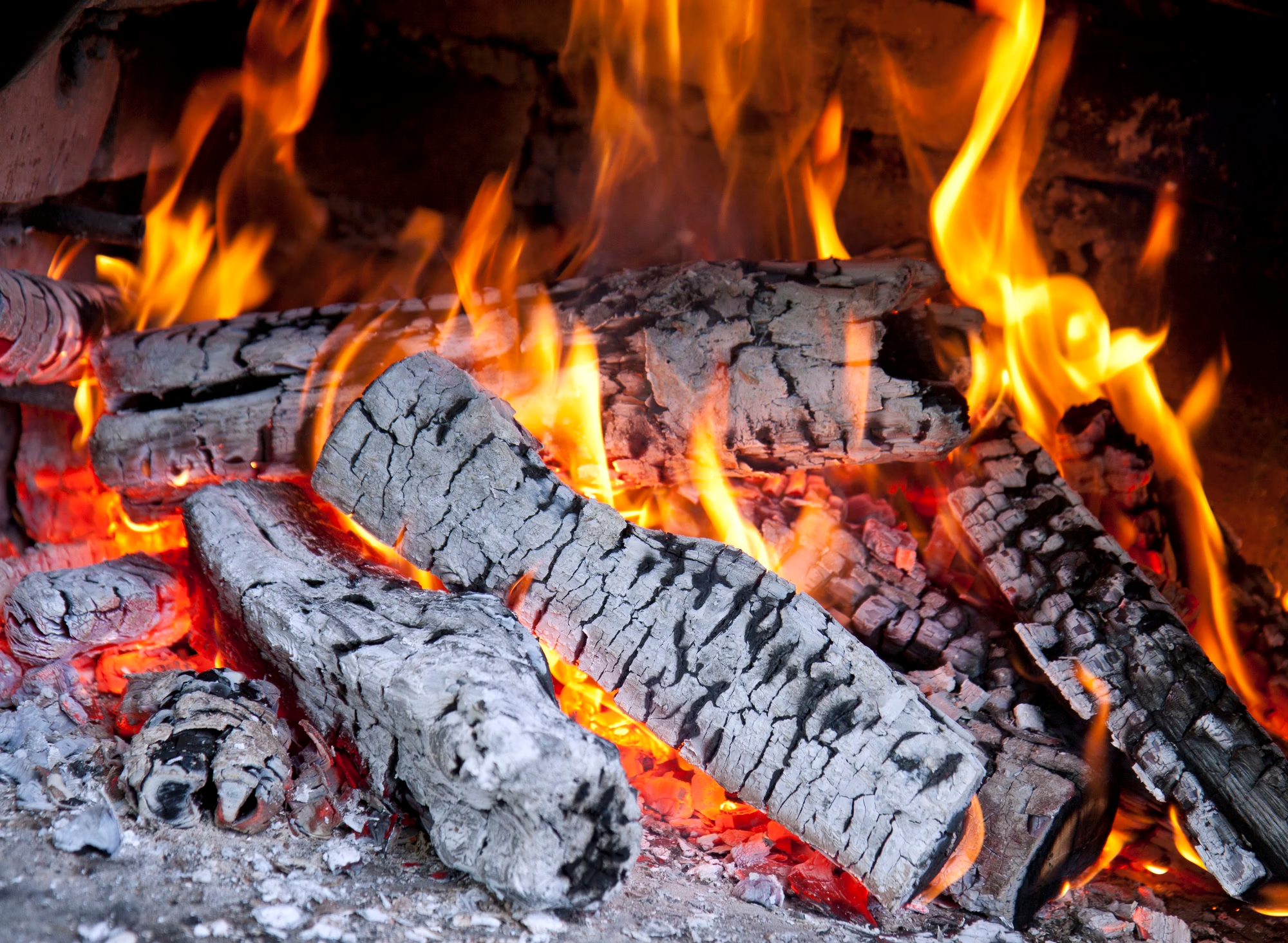 Bischofberger Holz Buche – Trockenes Brennholz in Stères, 50 cm (Palette 450 kg)