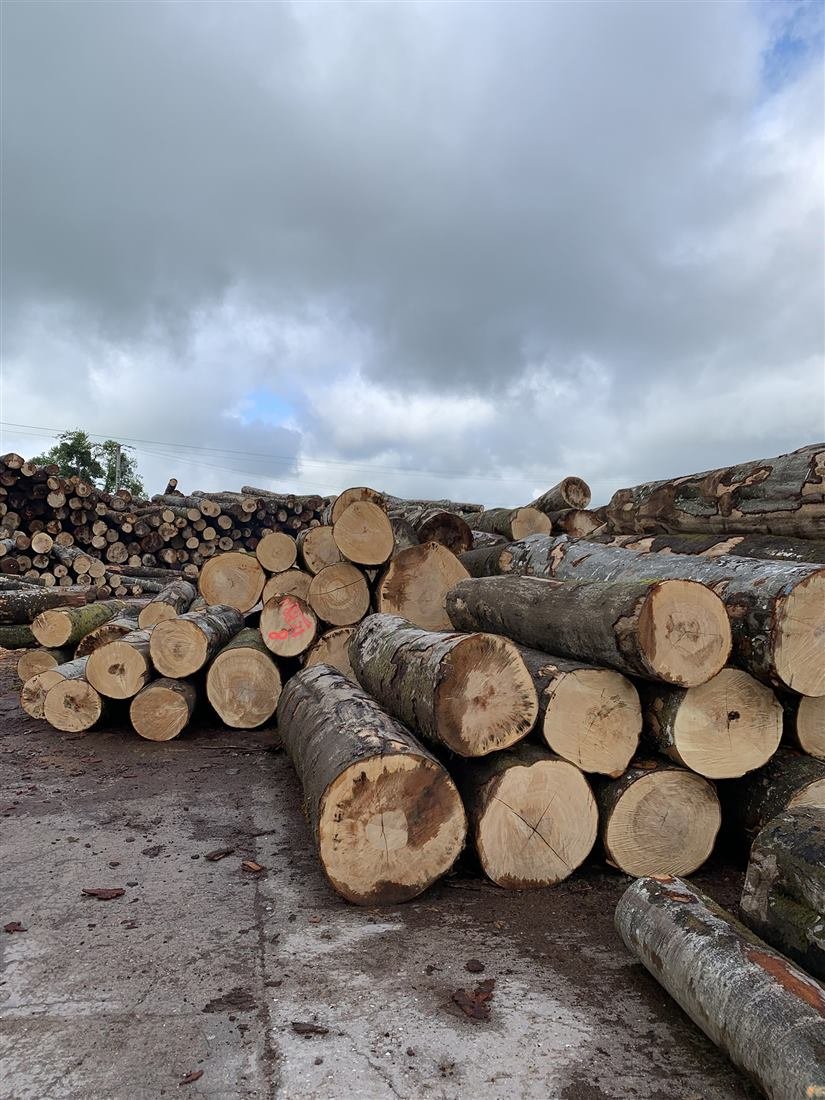 Grumes de bois sec